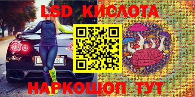 spice Бийск