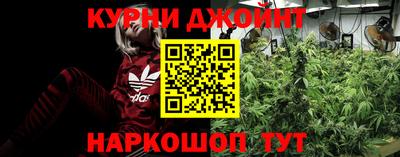 дурь Берёзовский