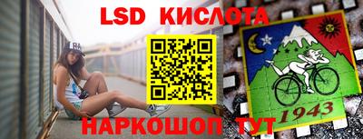 spice Бийск