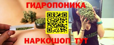 spice Бийск