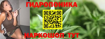 spice Бийск