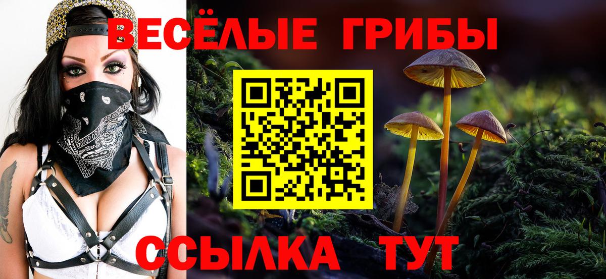 Псилоцибиновые грибы прущие грибы  Вход с VPN  Ишим 