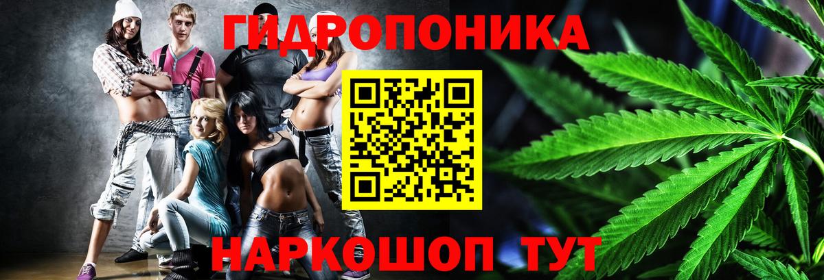 МАРИХУАНА сатива  Марихуана план  Марихуана гибрид  Канабис Ganja  Ишим  Вход с VPN 